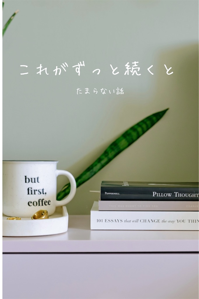 f:id:TAKA4612:20250514024931j:image