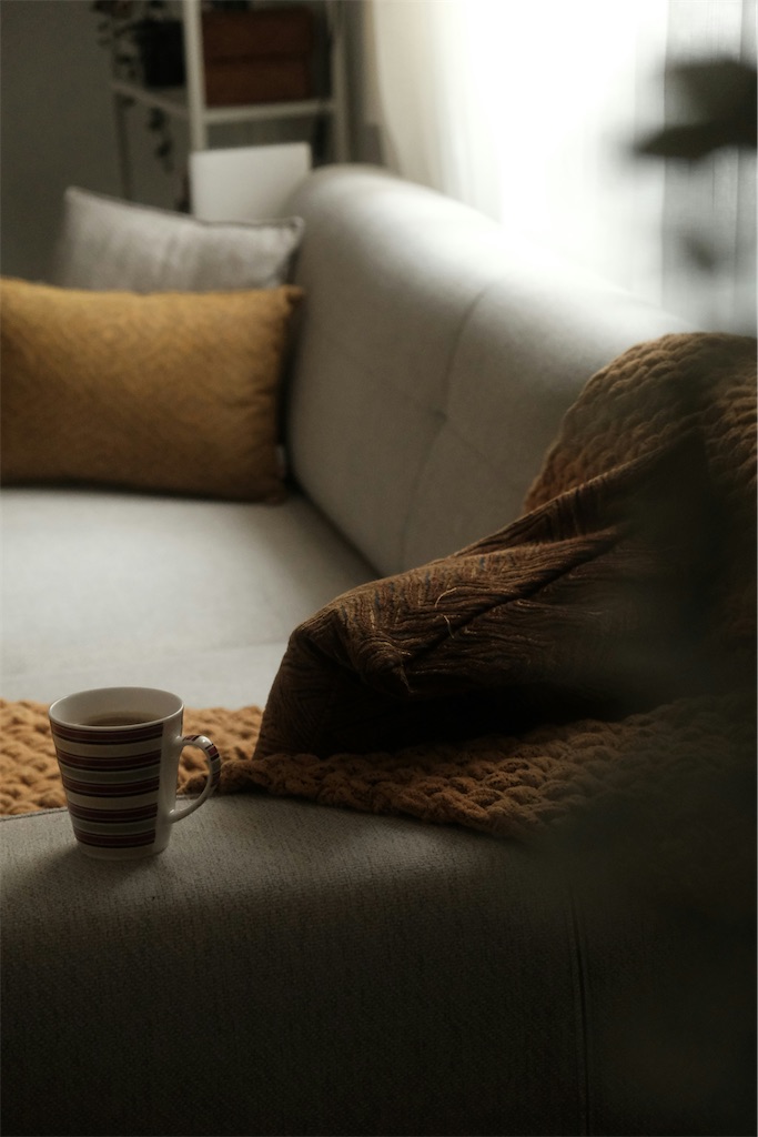 f:id:TAKA4612:20250514025157j:image