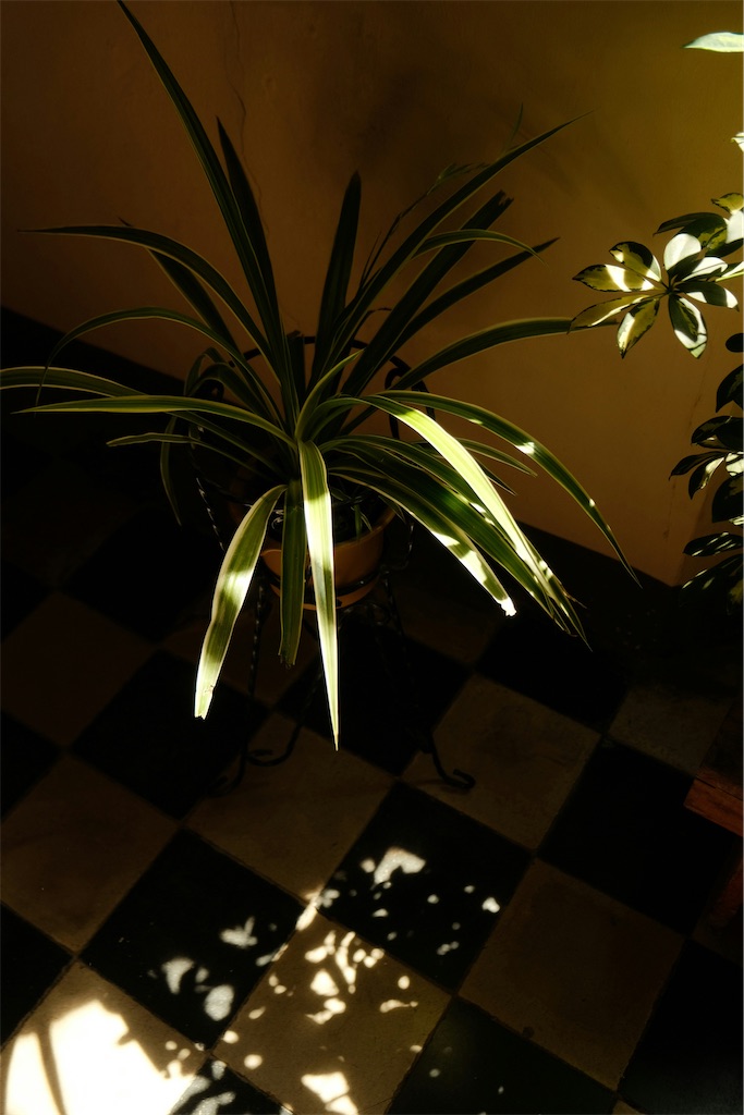 f:id:TAKA4612:20250530064128j:image