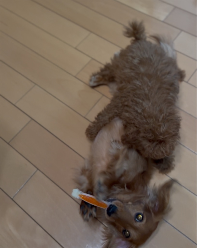 f:id:TAKA4612:20250606012025j:image
