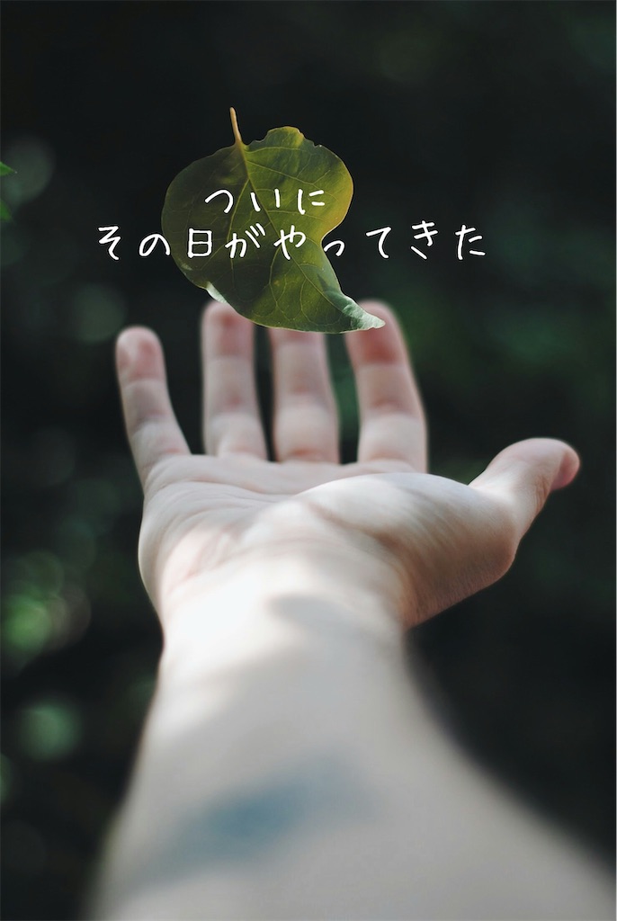 f:id:TAKA4612:20250606015345j:image