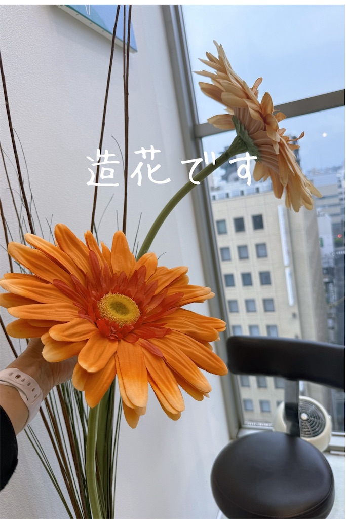f:id:TAKA4612:20250609003447j:image
