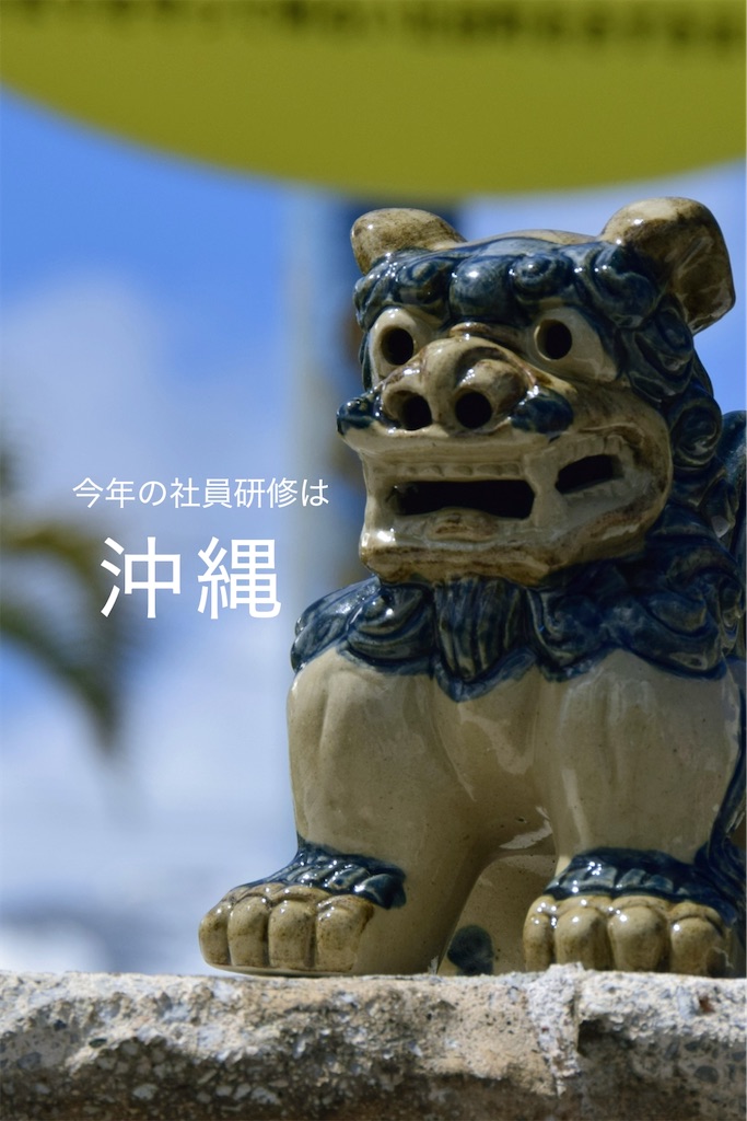 f:id:TAKA4612:20250610204441j:image