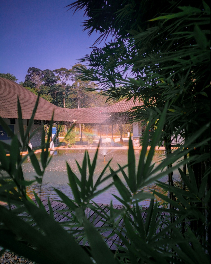 f:id:TAKA4612:20250610205700j:image