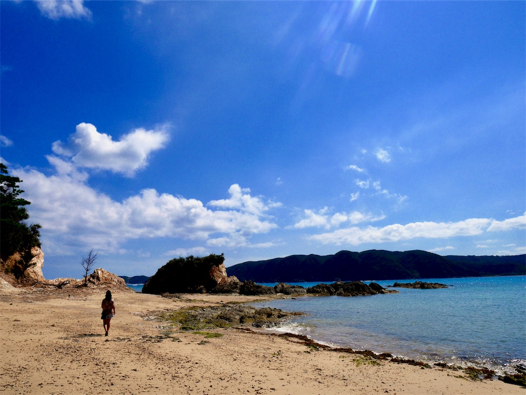 f:id:TAKA4612:20250610205916j:image