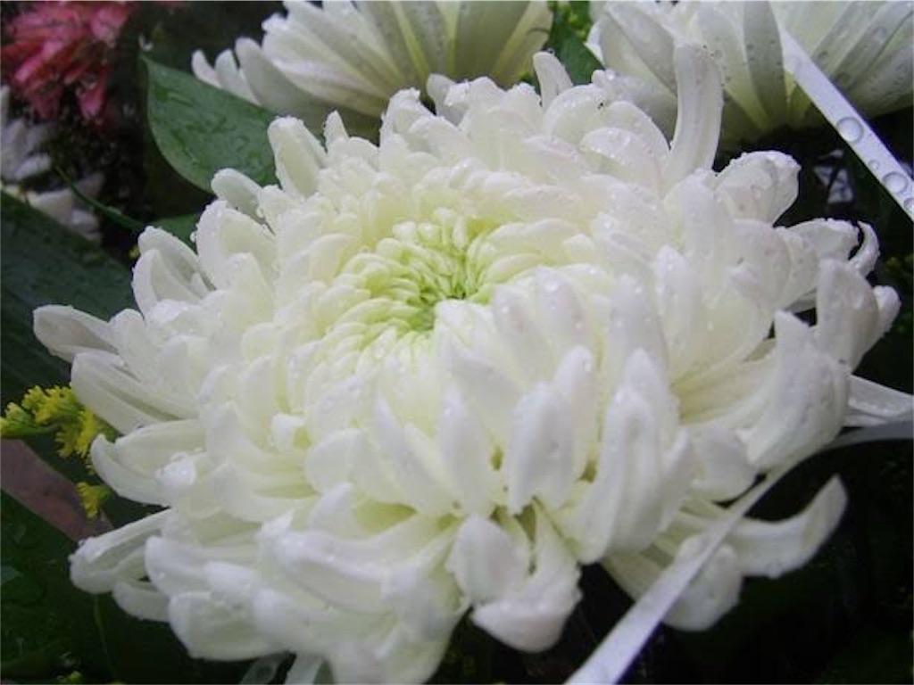 f:id:TAKA4612:20250611223956j:image
