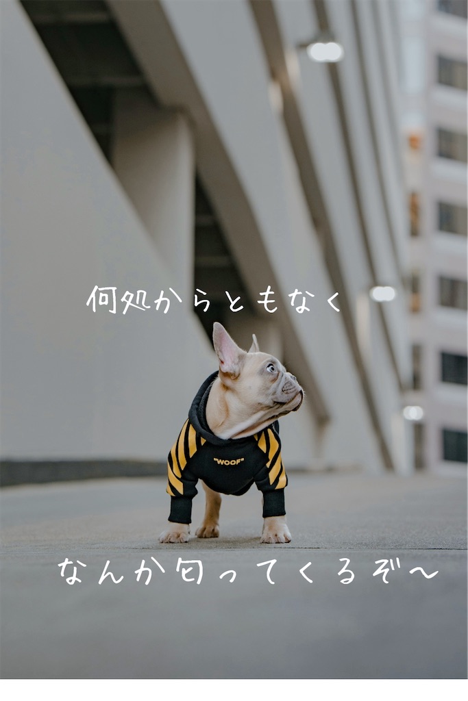 f:id:TAKA4612:20250615014123j:image