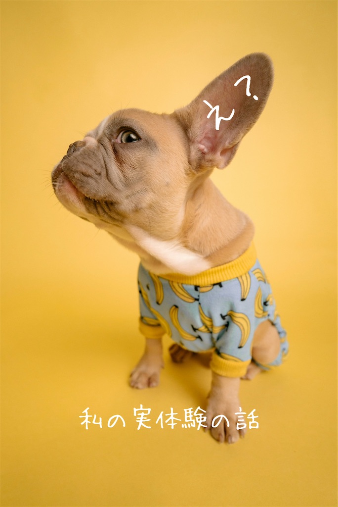 f:id:TAKA4612:20250621012229j:image