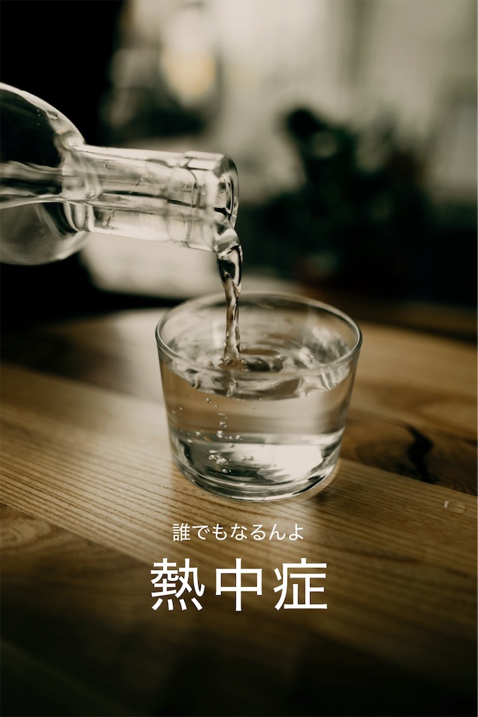 f:id:TAKA4612:20250705062635j:image