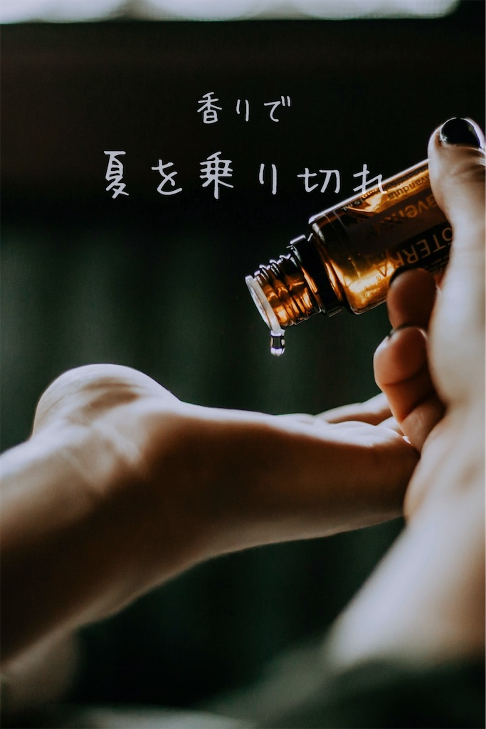 f:id:TAKA4612:20250708013134j:image