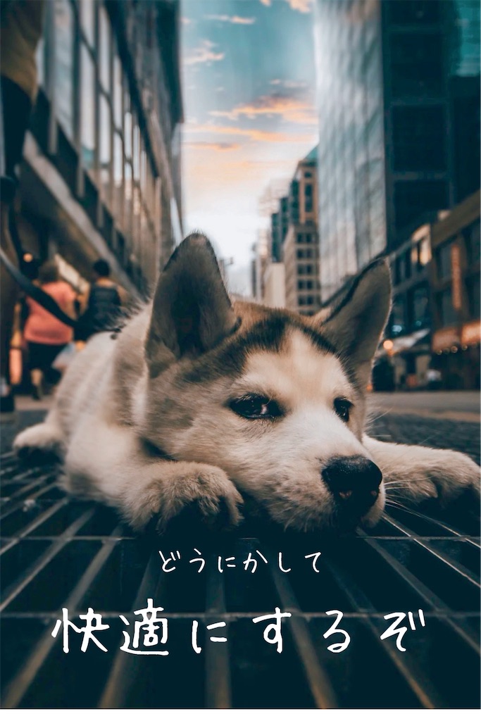 f:id:TAKA4612:20250711002131j:image