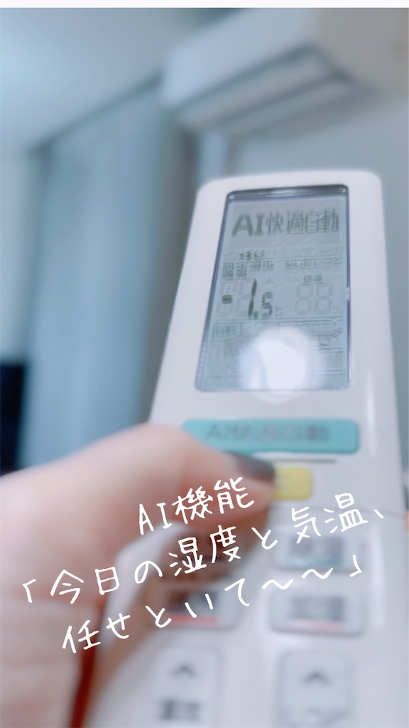 f:id:TAKA4612:20250714032147j:image