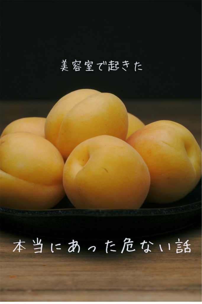 f:id:TAKA4612:20250808014802j:image f:id:TAKA4612:20250808014802j:image