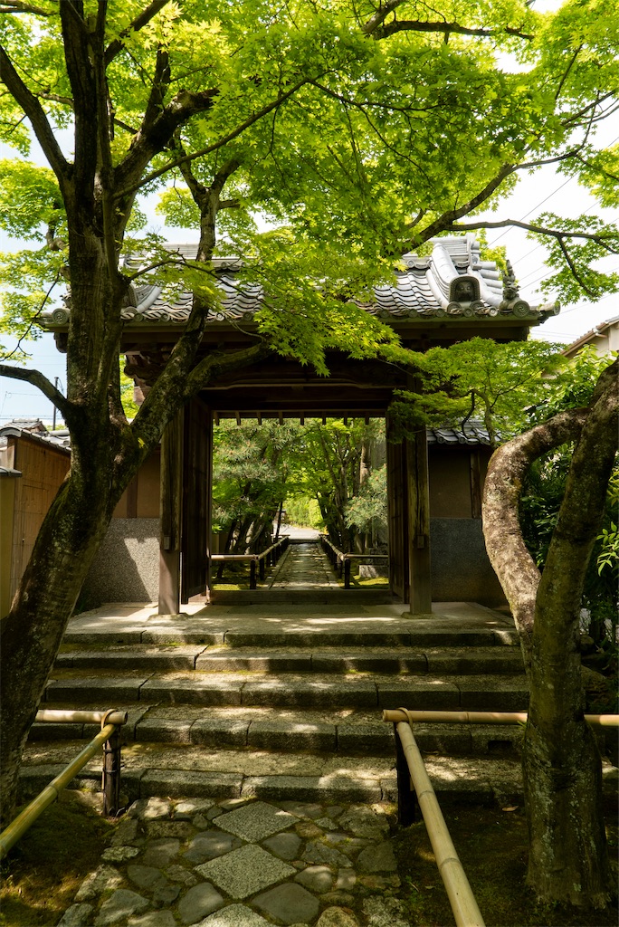 f:id:TAKA4612:20250810013518j:image f:id:TAKA4612:20250810013518j:image