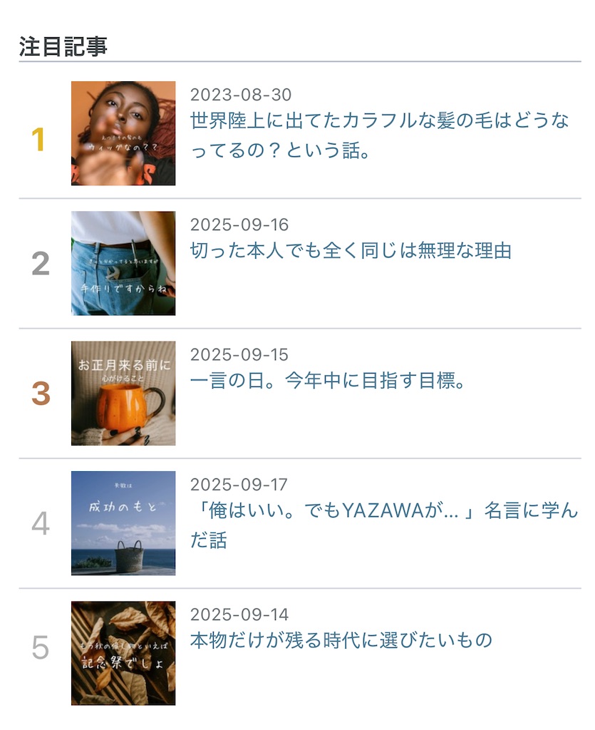 f:id:TAKA4612:20250918010801j:image