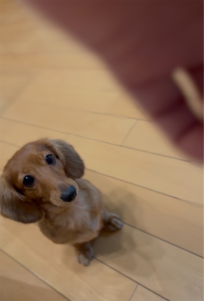 f:id:TAKA4612:20251109022822j:image