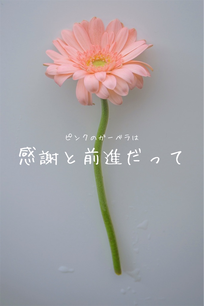 f:id:TAKA4612:20251111004652j:image f:id:TAKA4612:20251111004652j:image