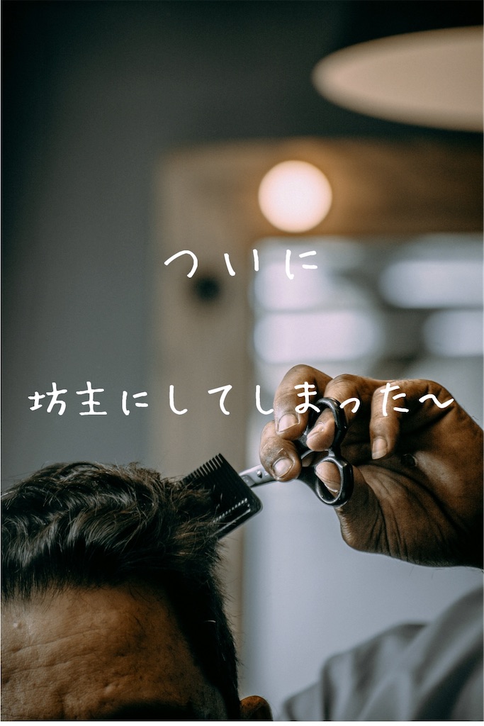 f:id:TAKA4612:20260216011007j:image f:id:TAKA4612:20260216011007j:image
