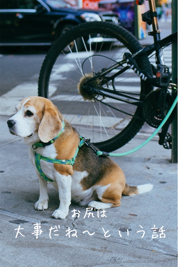 f:id:TAKA4612:20260219235335j:image f:id:TAKA4612:20260219235335j:image