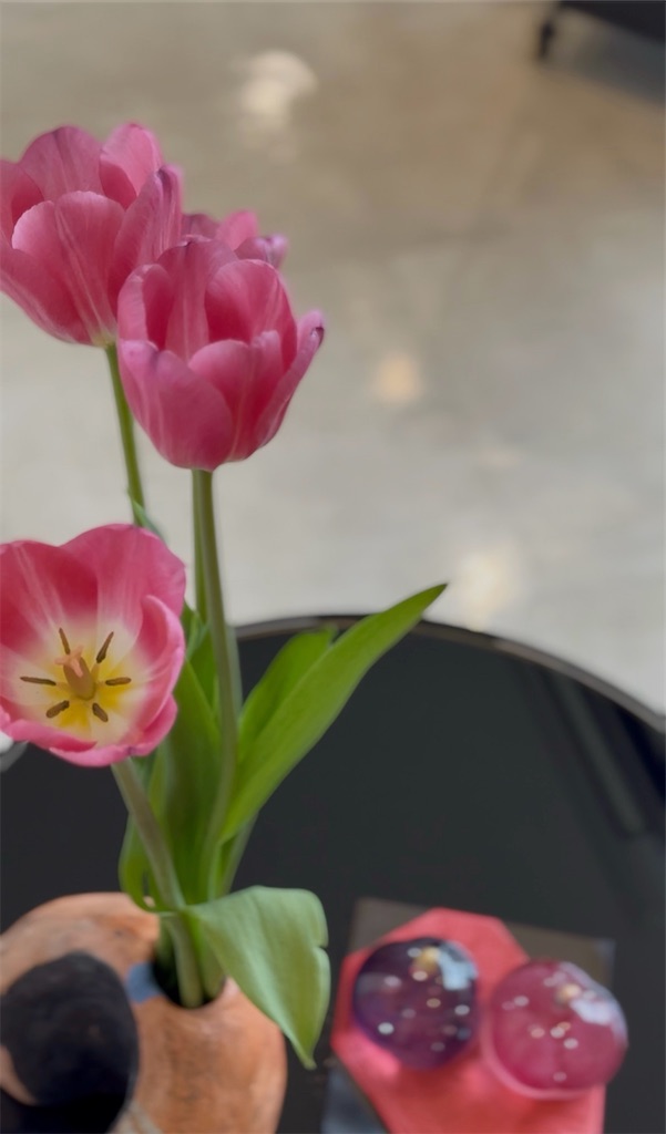 f:id:TAKA4612:20260228231111j:image f:id:TAKA4612:20260228231111j:image