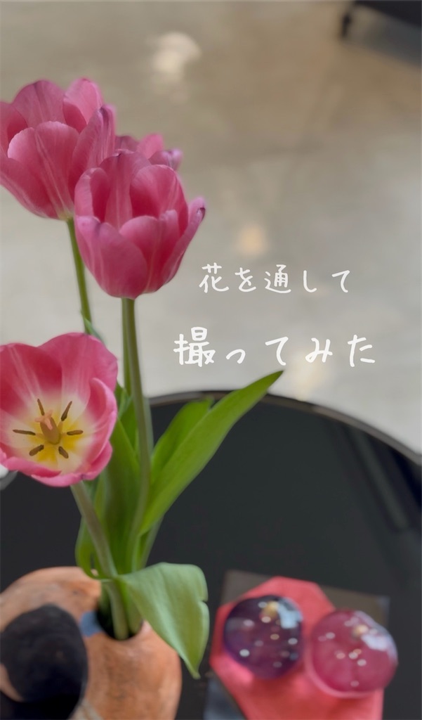 f:id:TAKA4612:20260228234952j:image f:id:TAKA4612:20260228234952j:image