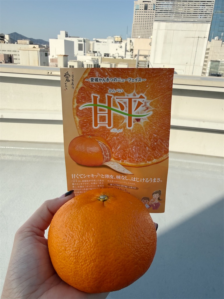 f:id:TAKA4612:20260302020758j:image f:id:TAKA4612:20260302020758j:image