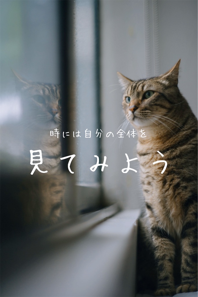 f:id:TAKA4612:20260310005259j:image f:id:TAKA4612:20260310005259j:image