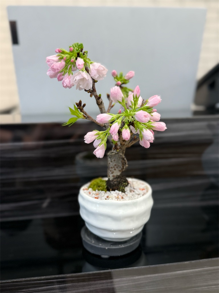 f:id:TAKA4612:20260330232254j:image