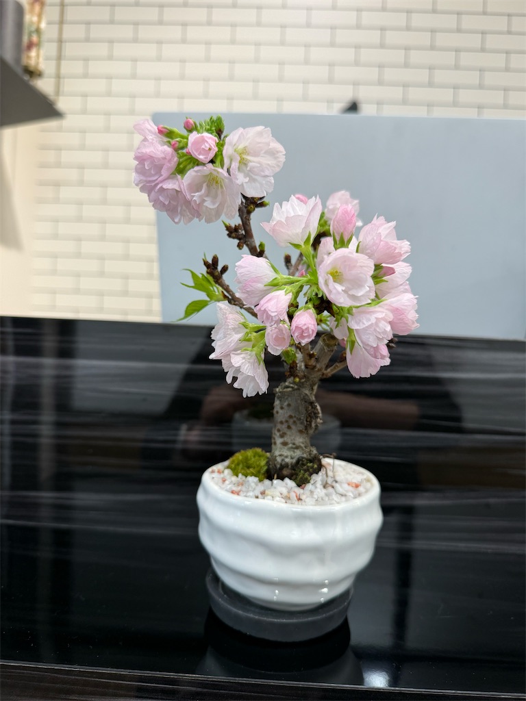 f:id:TAKA4612:20260330232450j:image