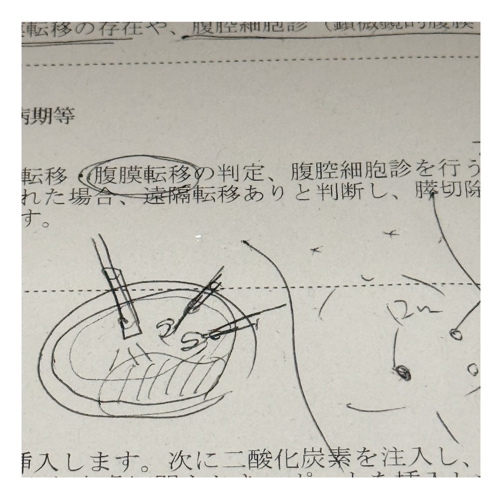 f:id:TAKA4612:20260405195616j:image