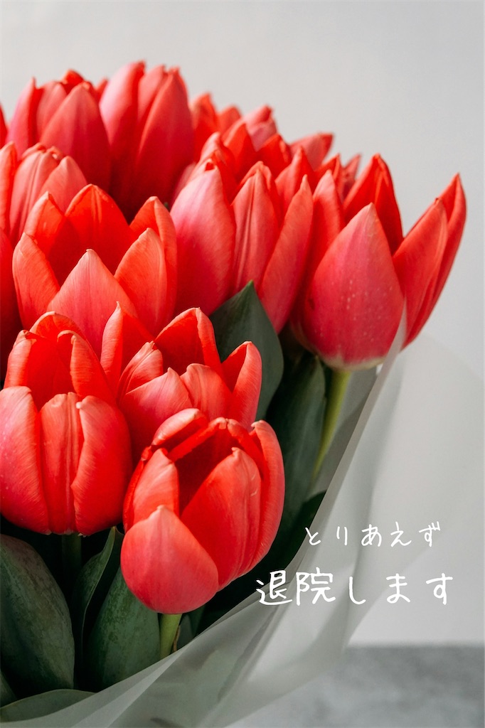f:id:TAKA4612:20260408210014j:image