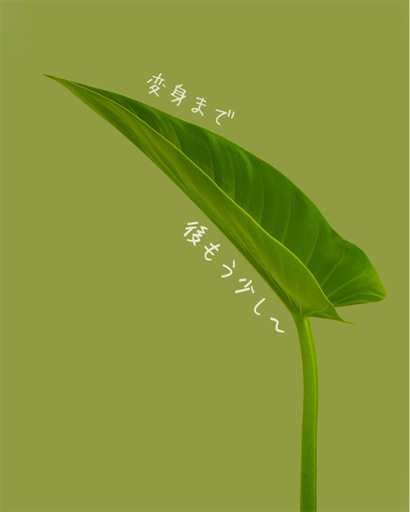 f:id:TAKA4612:20260412002334j:image
