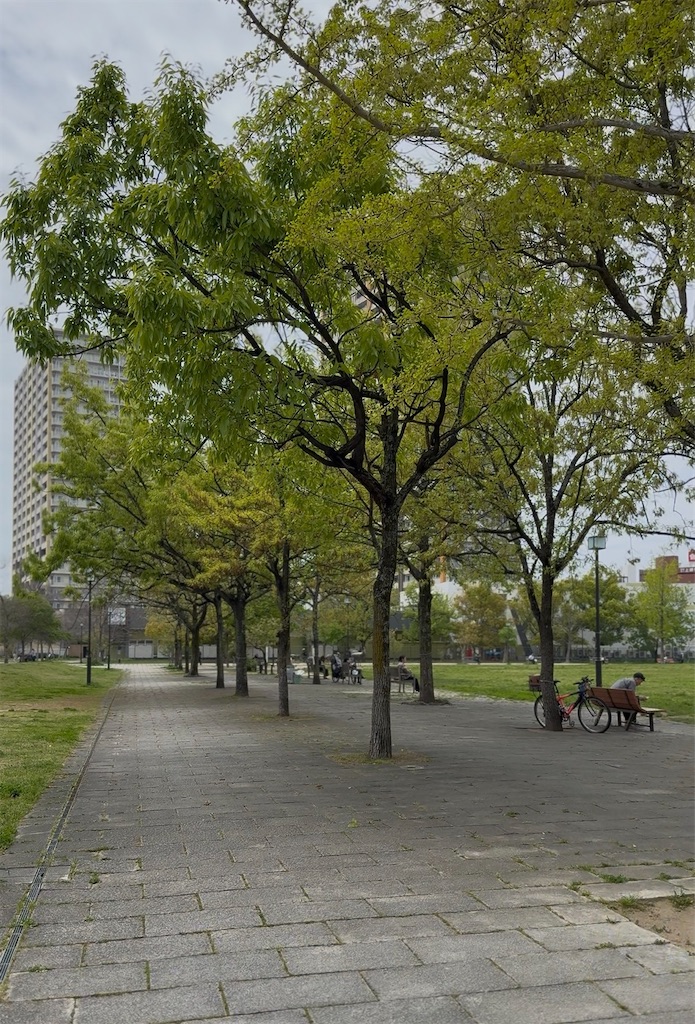 f:id:TAKA4612:20260414010008j:image