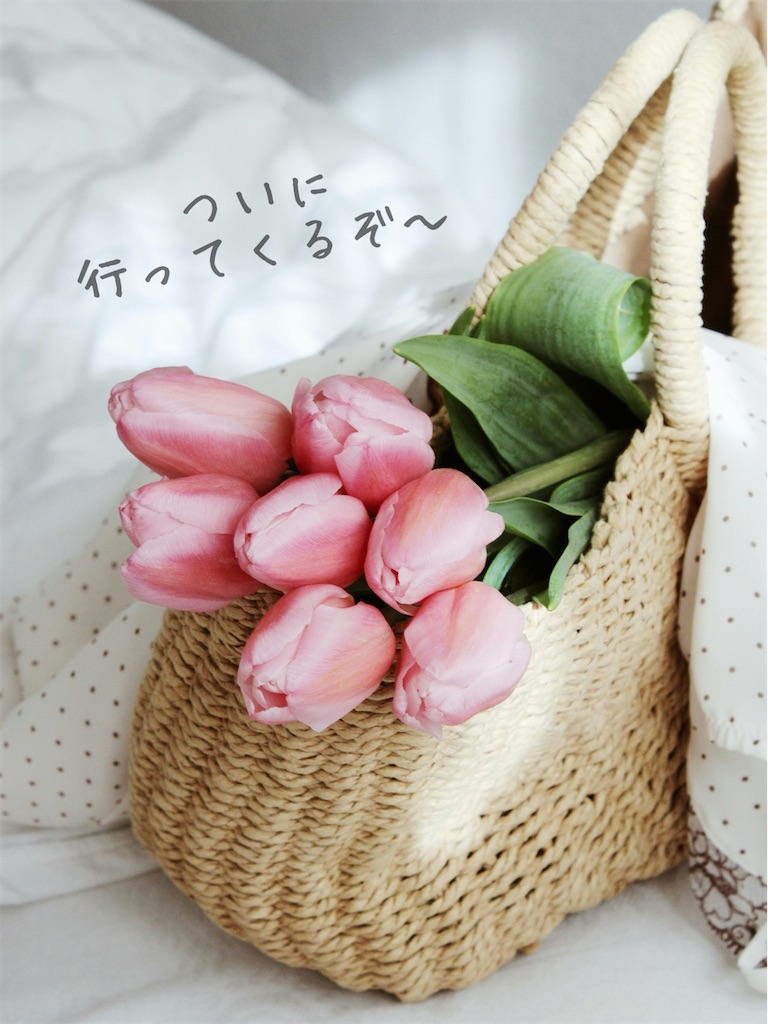 f:id:TAKA4612:20260423030945j:image f:id:TAKA4612:20260423030945j:image