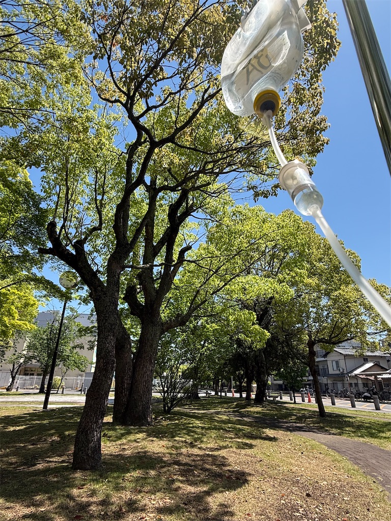f:id:TAKA4612:20260505190046j:image
