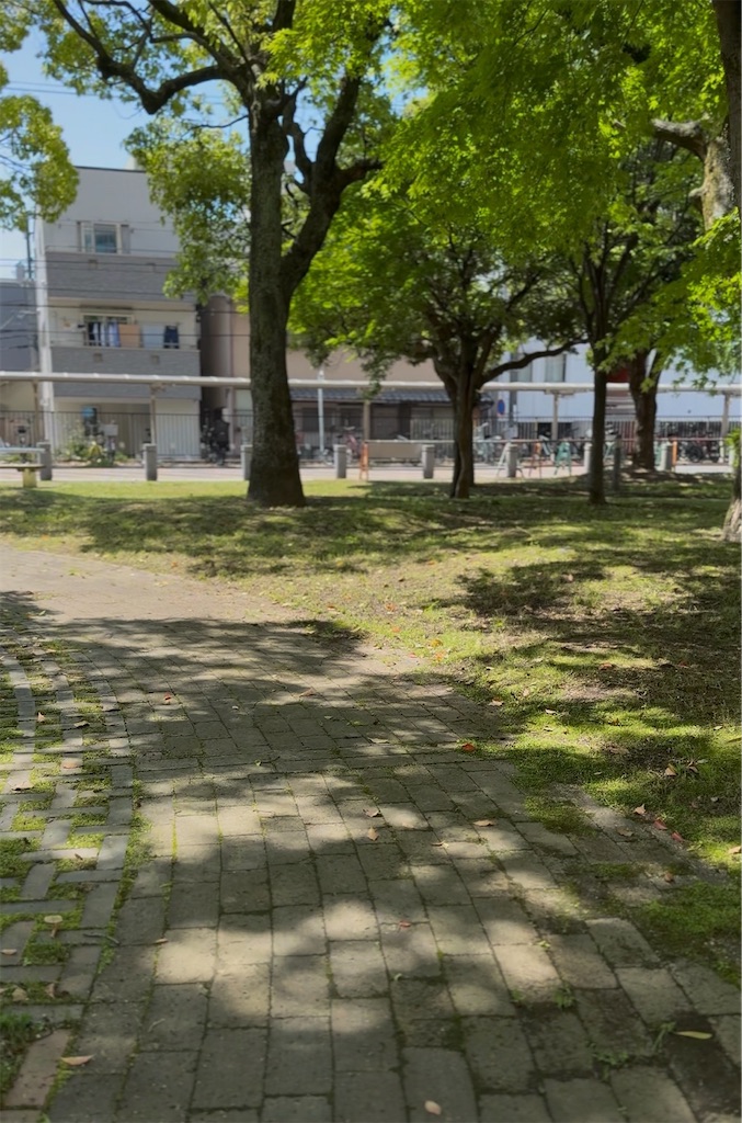 f:id:TAKA4612:20260508205602j:image