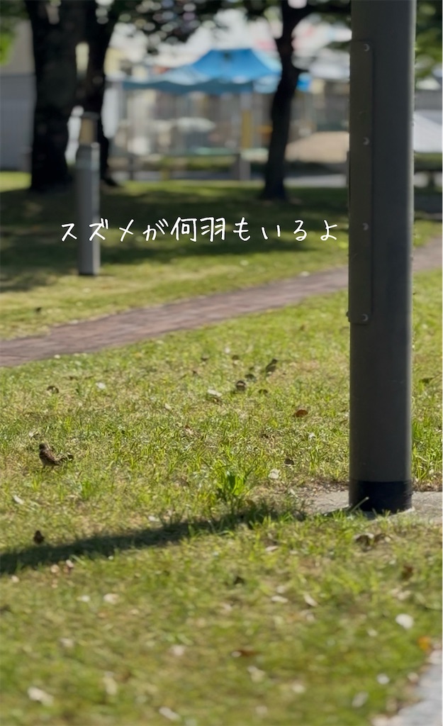 f:id:TAKA4612:20260509195651j:image