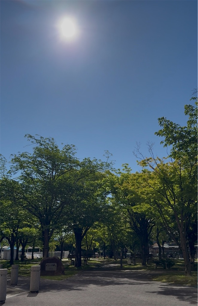 f:id:TAKA4612:20260509200011j:image