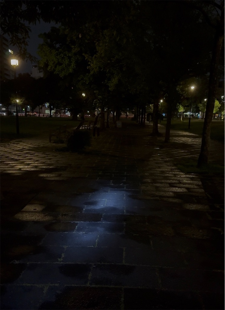 f:id:TAKA4612:20260605012202j:image