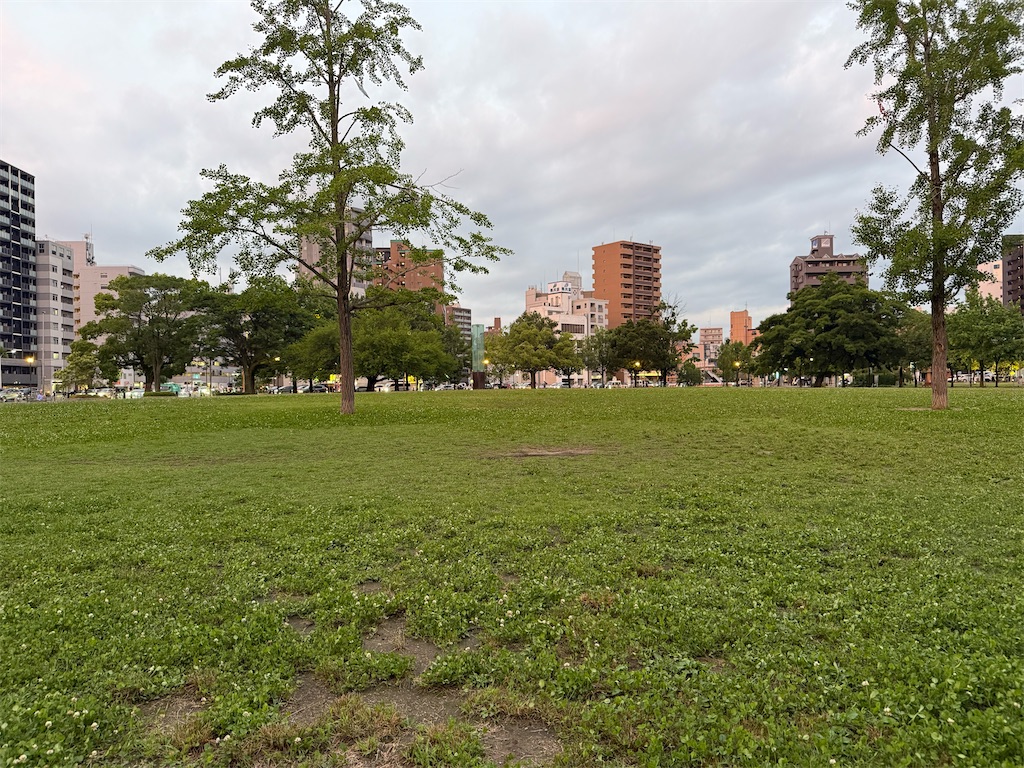 f:id:TAKA4612:20260613230302j:image