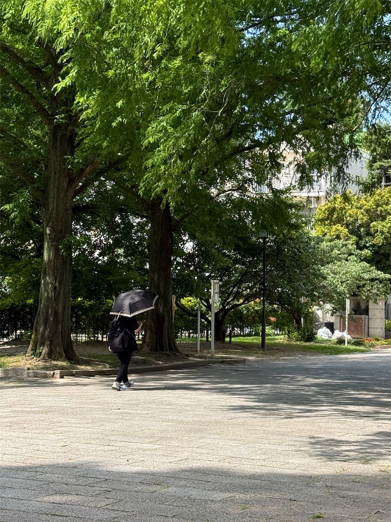 f:id:TAKA4612:20260616002116j:image f:id:TAKA4612:20260616002116j:image