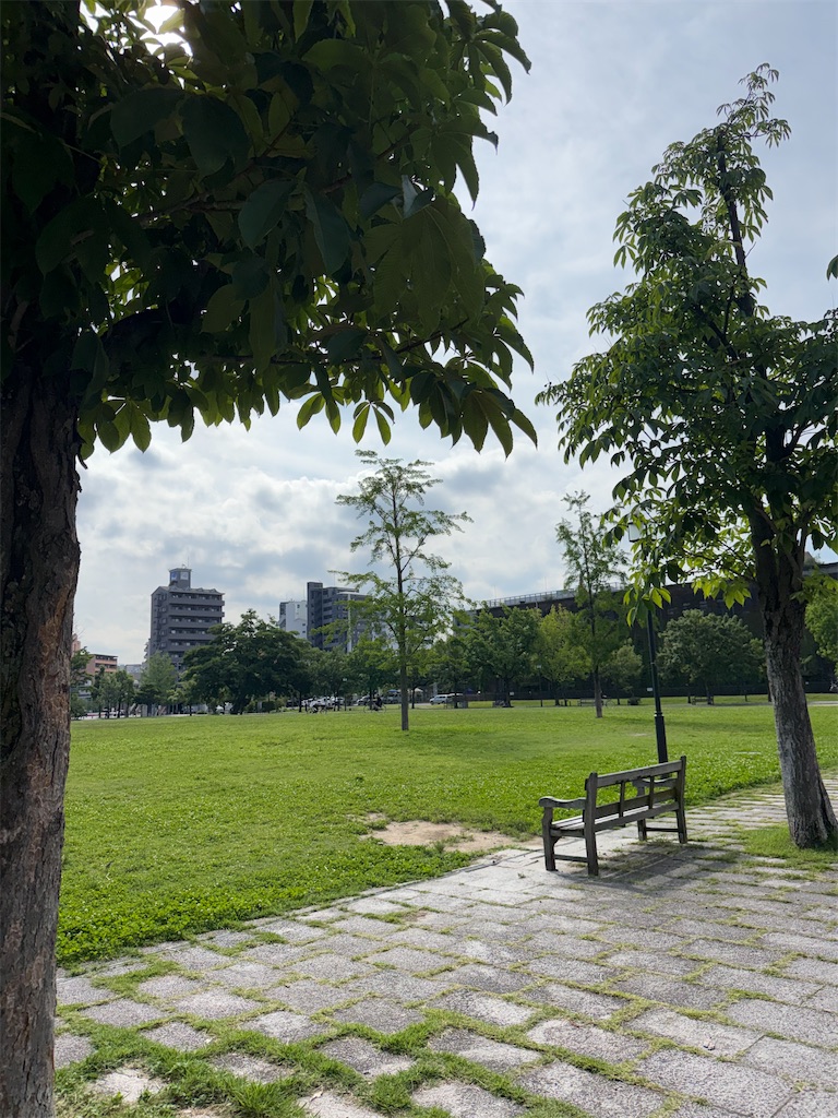 f:id:TAKA4612:20260616225516j:image