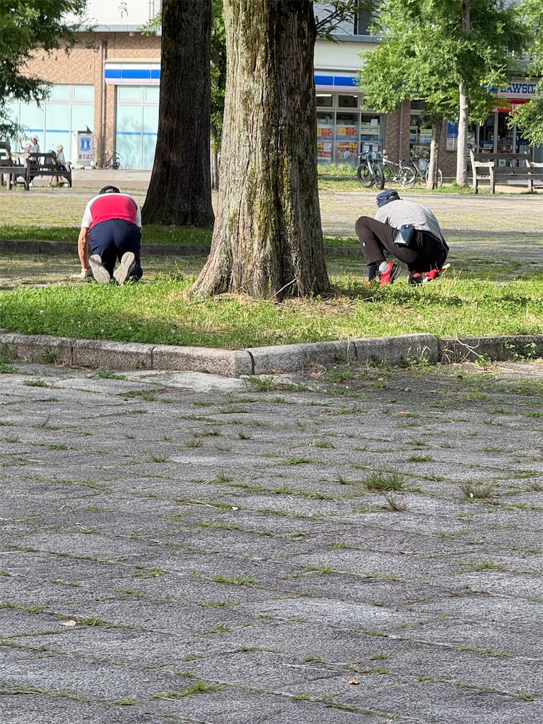 f:id:TAKA4612:20260618230910j:image