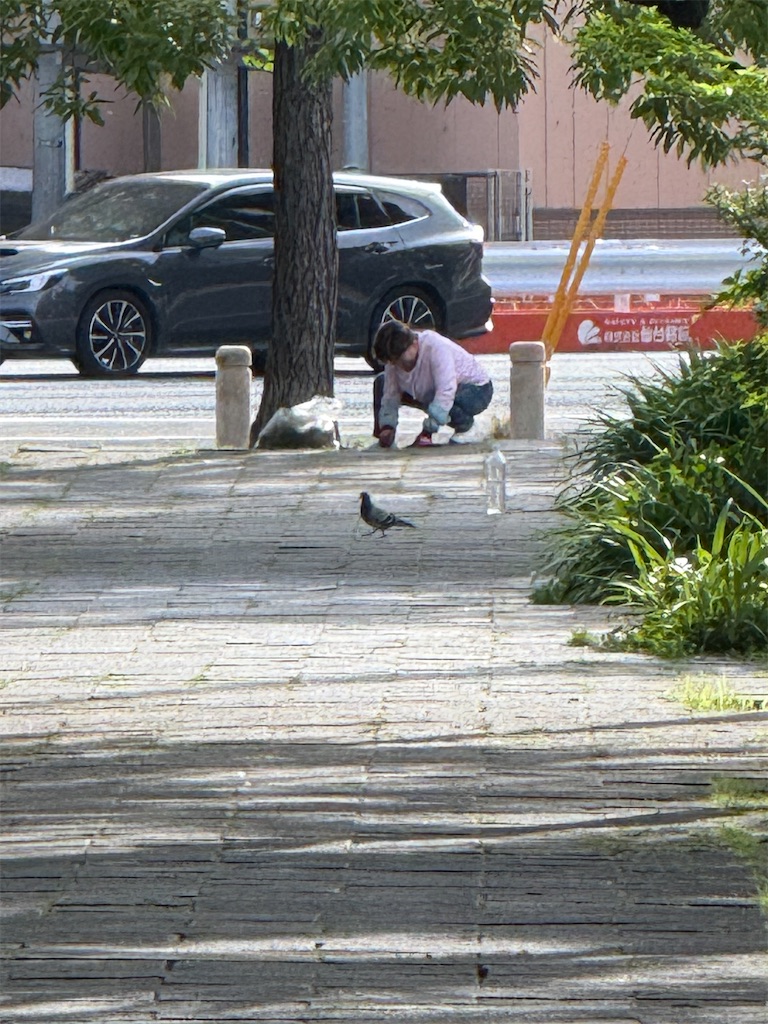 f:id:TAKA4612:20260618231003j:image