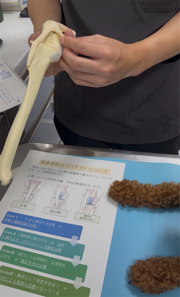 f:id:TAKA4612:20260624224252j:image