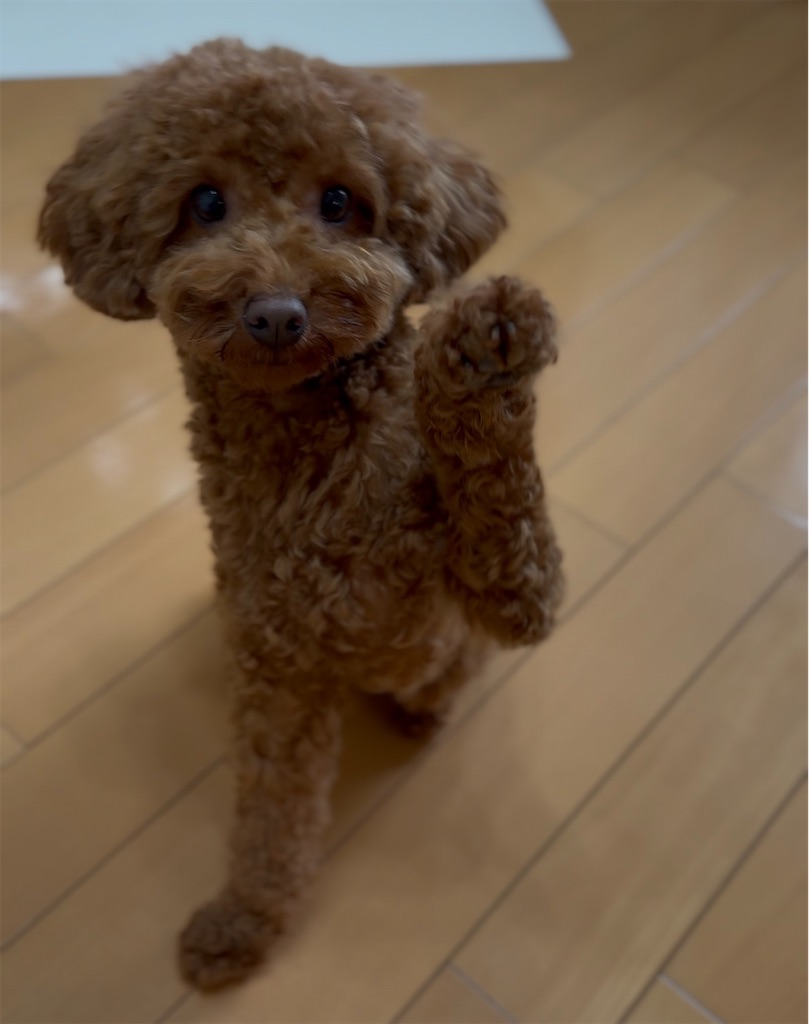 f:id:TAKA4612:20260704150751j:image