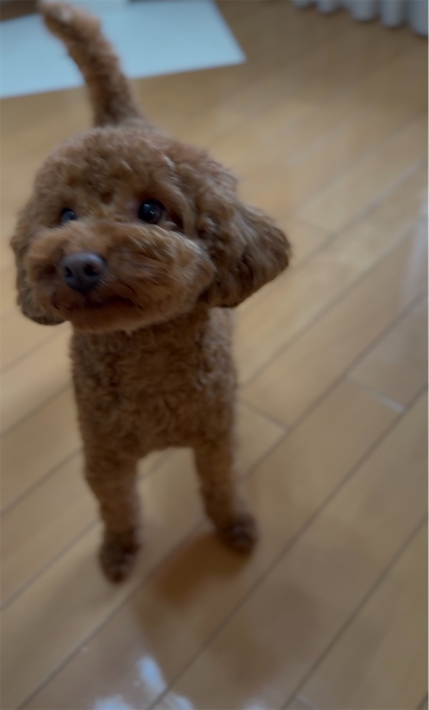 f:id:TAKA4612:20260704151220j:image