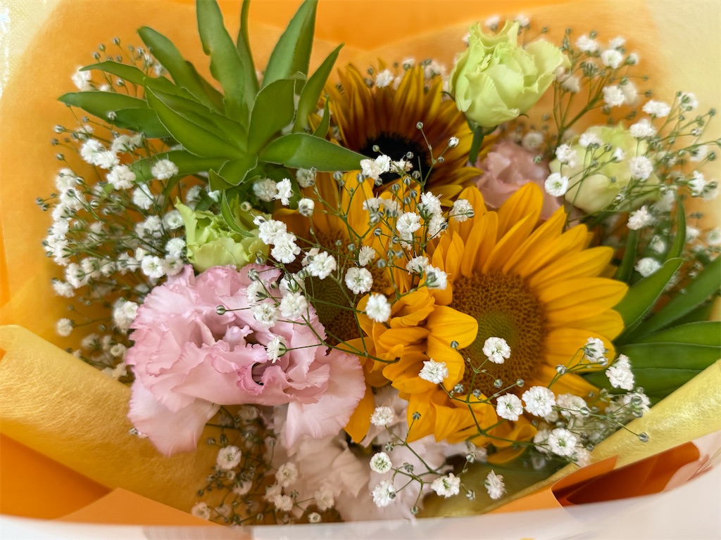 f:id:TAKA4612:20260708002223j:image f:id:TAKA4612:20260708002223j:image