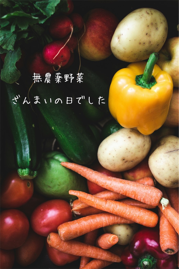 f:id:TAKA4612:20260708005757j:image f:id:TAKA4612:20260708005757j:image