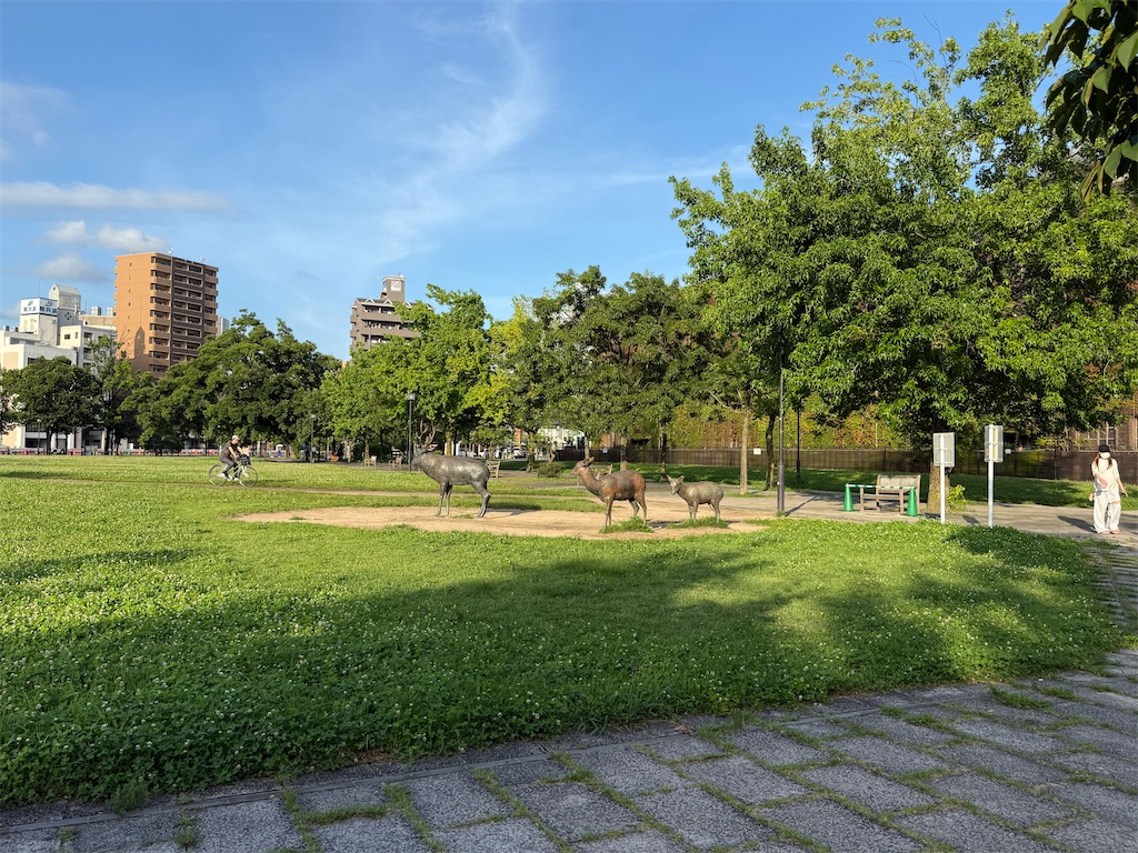 f:id:TAKA4612:20260708234735j:image